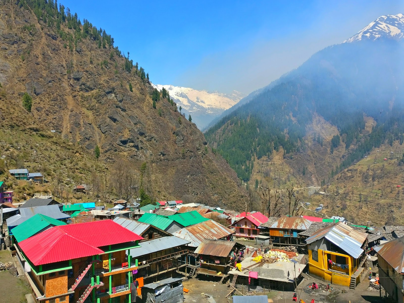 Malana & orchards